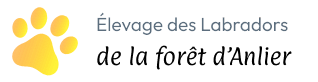 Élevage des Labradors de la forêt d’Anlier